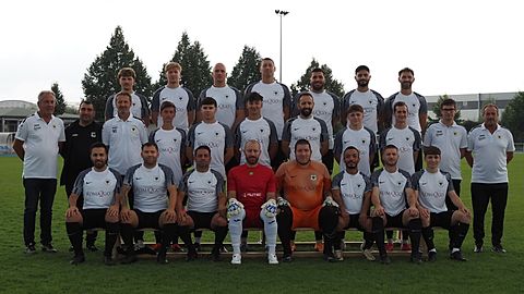 Mannschaftsfoto: Herren - 1. Mannschaft - SV Sinsheim - Saison 25/26
