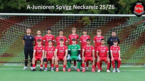 Mannschaftsfoto: A-Jugend (U19) - SpVgg Neckarelz - Saison 25/26