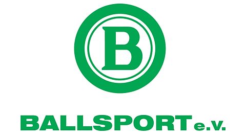 Mannschaftsfoto: Herren - 1. Mannschaft - Ballsport Eversburg - Saison 26/27
