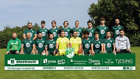 Mannschaftsfoto: Herren - 2. Mannschaft - TSF Ditzingen - Saison 25/26
