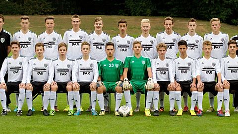 Das offizielle Mannschaftsfoto der U17-Junioren des 1. FC Bocholt zur Niederrheinliga-Saison 2013/2014 (Foto: Benjamin Lenz)