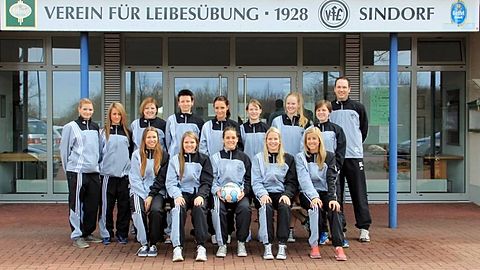 Damenmannschaft Saison 2012/2013