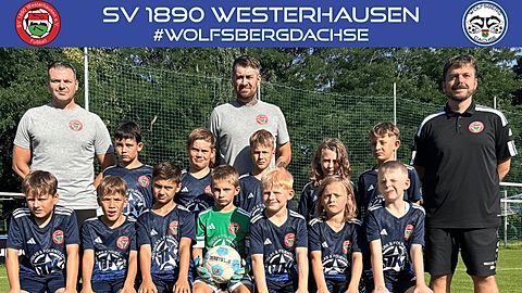 Mannschaftsfoto: E-Jugend (U11) II - SV 1890 Westerhausen - Saison 25/26
