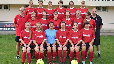 SFI-Damen Landesligasaison 2013/14
