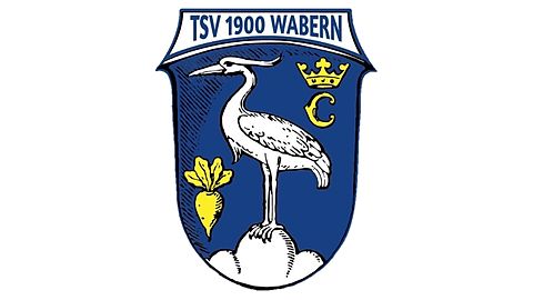 Mannschaftsfoto: E-Jugend (U11) II - TSV Wabern - Saison 25/26