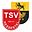 SG TSV Hessent.