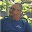 Profilbild von Norbert Czaja - Vereinsverwalter SV Rödinghausen