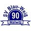 Profilbild von Micha Bodamer - Vereinsverwalter SV Blau-Weiß 90 Wallwitz