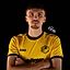 Profilbild von Nikolas Zrenner - Vereinsverwalter FC Lauingen