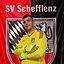 Profilbild von Patrick Müller - Vereinsverwalter SV Schefflenz