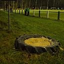 Foto der Spielstätte Sportplatz im Hudeweg - SuS Grün-Weiß Amecke 1922