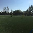 Foto der Spielstätte Sportplatz Frankfurt-Nied - FV Alemannia Nied