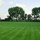 Foto der Spielstätte Sportplatz Kurkölner Straße - Linner SV