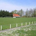 Foto der Spielstätte Allfelder Waldstadion - VfB Allfeld
