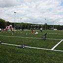 Foto der Spielstätte Sportplatz am Guckenberg - VfB Bodenheim