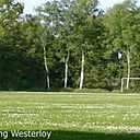 Foto der Spielstätte Trainingsplatz Westerloyerfeld - TuS Westerloy