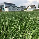 Foto der Spielstätte Sportplatz FC Steinbach - FC Steinbach