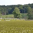 Foto der Spielstätte Dr. Kind Arena - BSV Viktoria Bielstein