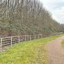 Foto der Spielstätte Sportzentrum Binnerfeld-Stadion - SC Neheim